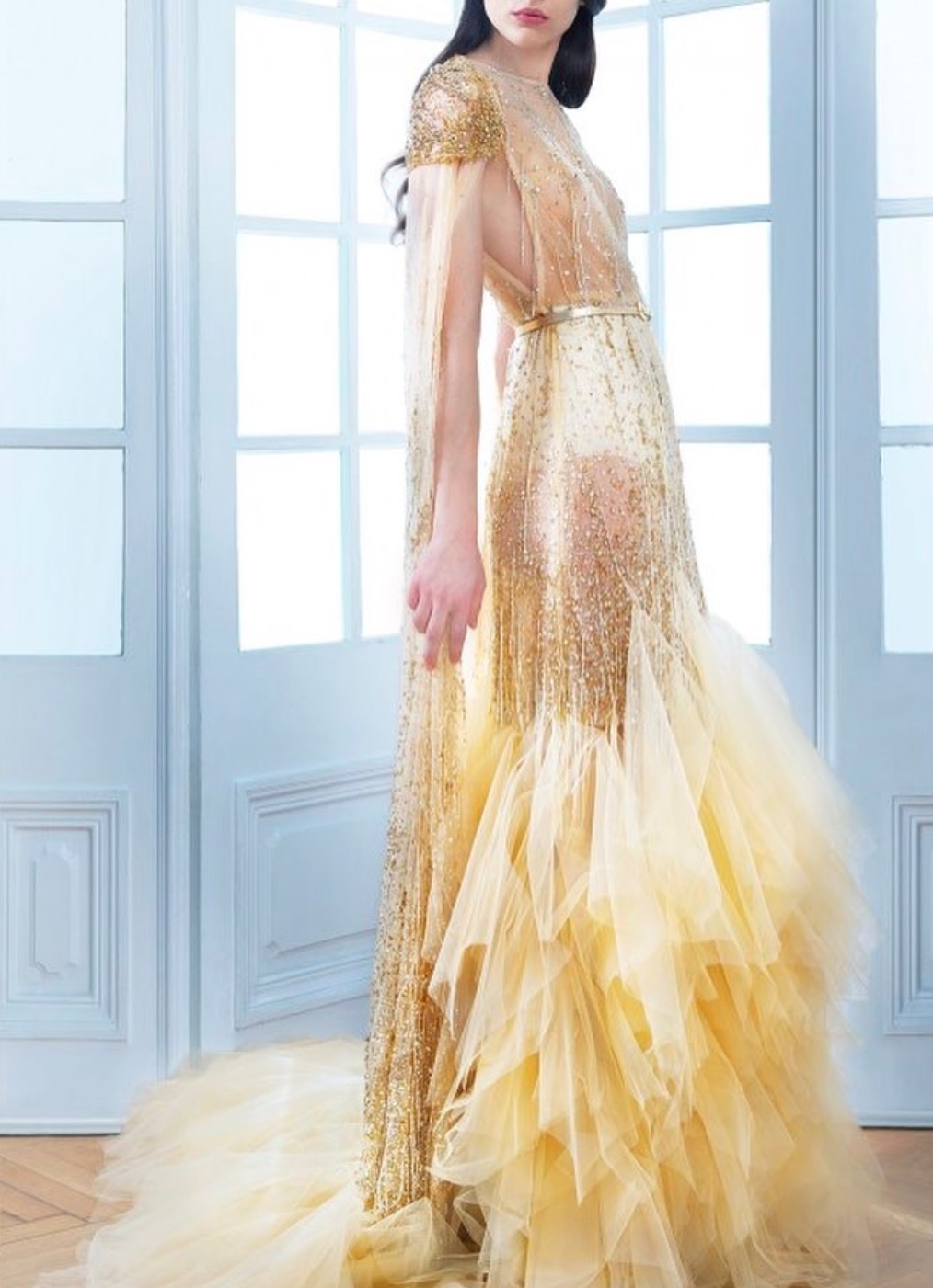 Golden Sheer Mermaid Dress - Slaylebrity