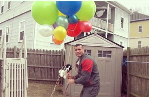 Puppy tied to helium balloons ‘floats away’ in cruel prank on devastated owners