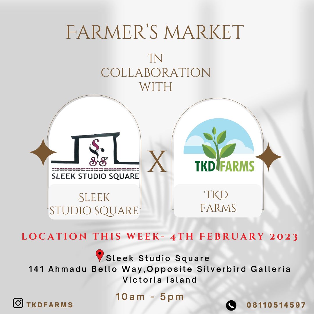 The best farmers market in lagos Sleek Nigeria x TKD farms - Slaylebrity