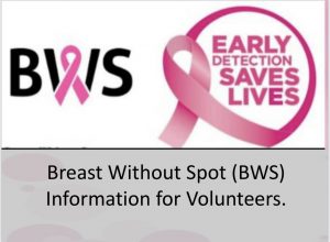 Commission Based Job for Volunteers Writing Grants for Breast Without Spots Cancer Charity – BWS