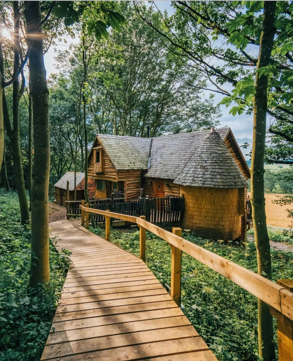 The absolute best tree houses in the UK you can book