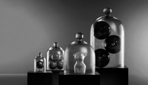 Extreme luxe glass cloche art collection