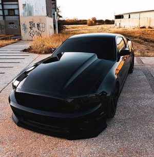 There’s something stinkingly rich about a blacked out mustang